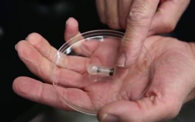 Crean un dispositivo, del tamaño de una píldora, capaz de suministrar las vacunas sin necesidad de agujas